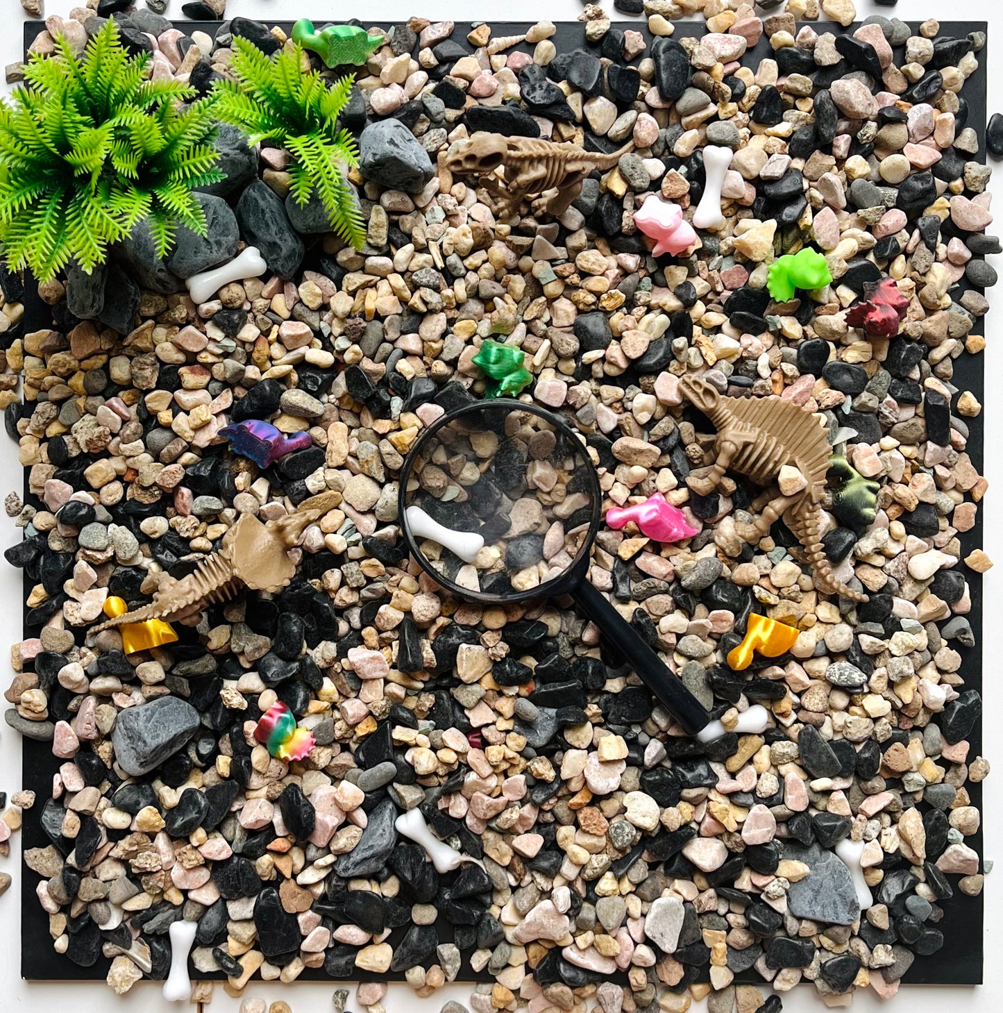 Dino Discovery Grab 'n' Go Bag