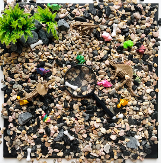 Dino Discovery Grab 'n' Go Bag